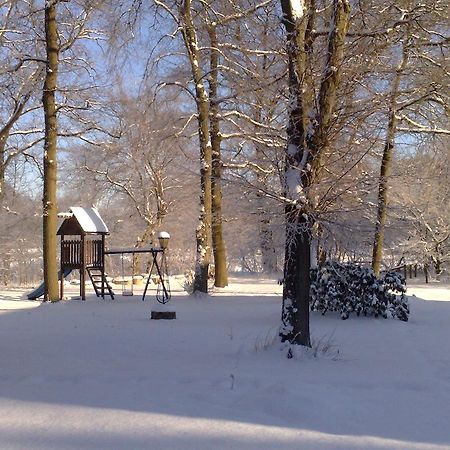 Landgasthof Zur Heideschenke Hotell Wolthausen Fasiliteter bilde