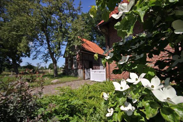 Landgasthof Zur Heideschenke Hotell Wolthausen Eksteriør bilde